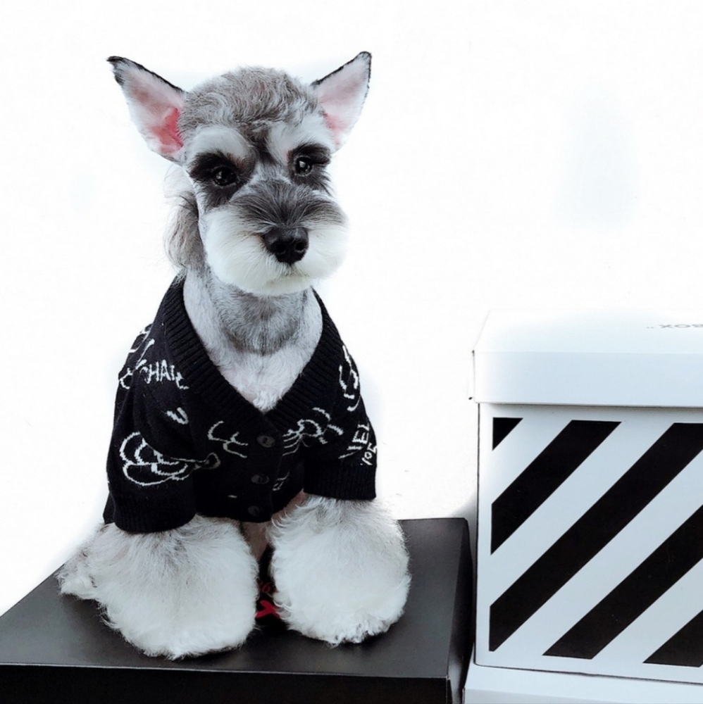 💎🐶Dog CHCH Print Sweater| Size: S